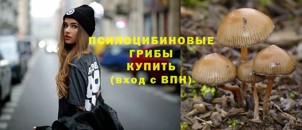 не бодяженный Арсеньев
