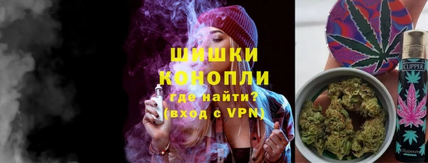 шишки Аркадак