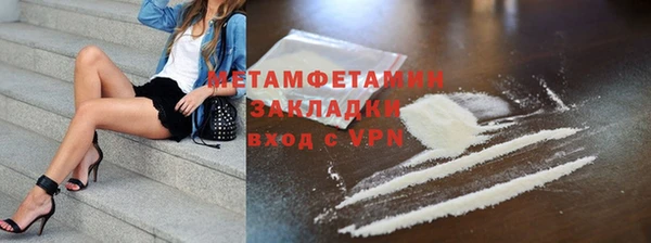 шишки Аркадак
