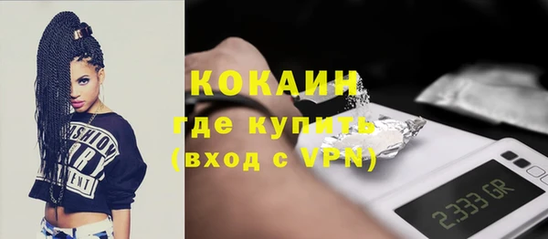шишки Аркадак