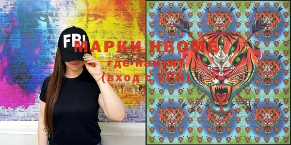 шишки Аркадак