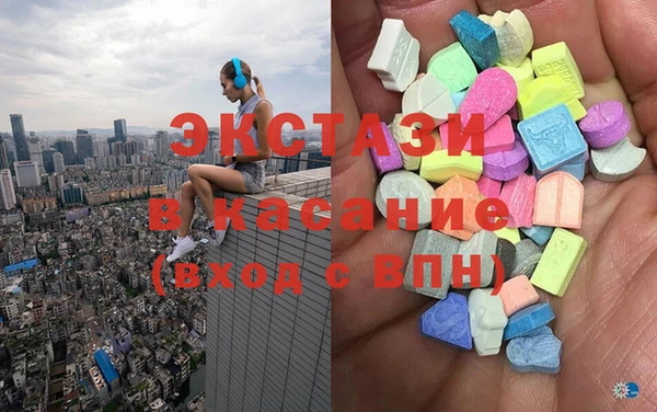 шишки Аркадак