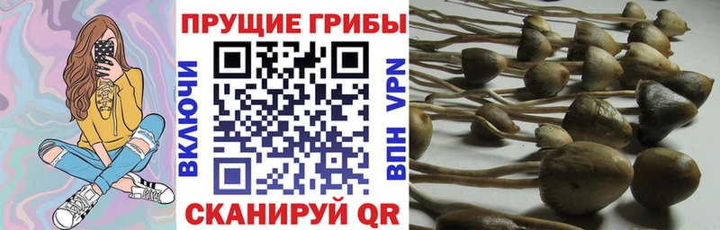 Галлюциногенные грибы мицелий  Минусинск 